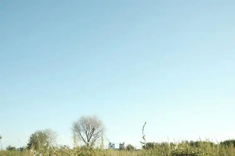 一组小清新,淡淡的描绘生活的恬静与素雅