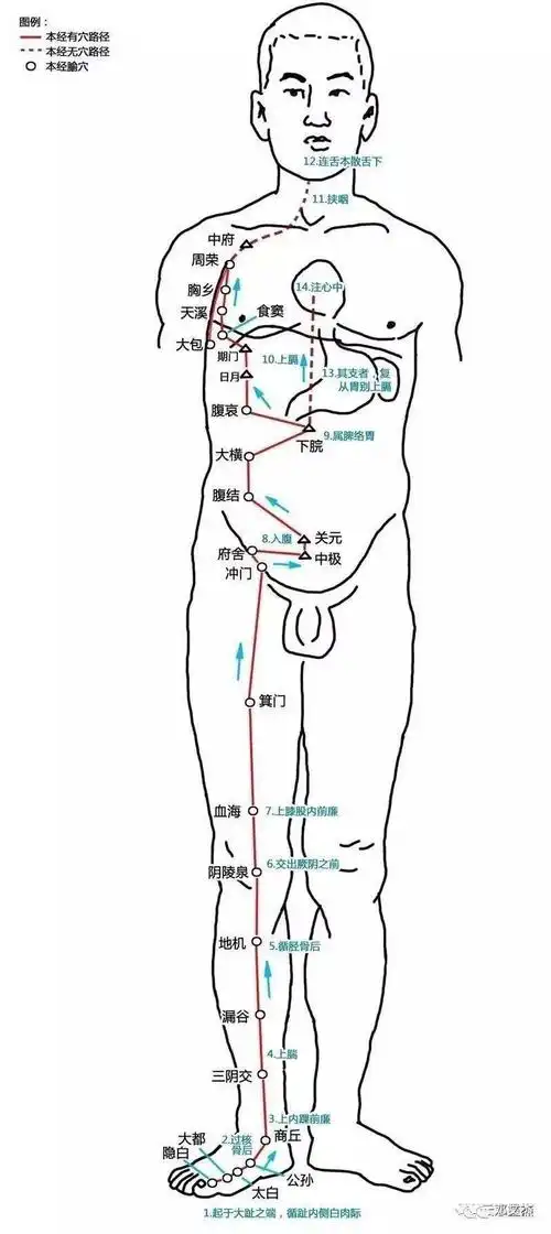 太白穴:是脾经上的原穴,只要常常按揉它或者用中药艾条温灸,就可以起