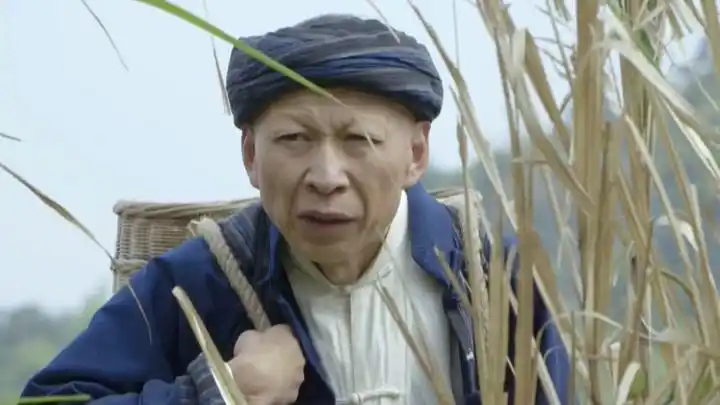 黑狐之风影:此地戒备如此森严,男子想要闯进去谈何容易呢