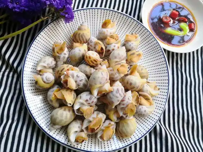 原创花螺好不好吃关键在调料汁调的好不好吃白灼花螺时千万不能少了这