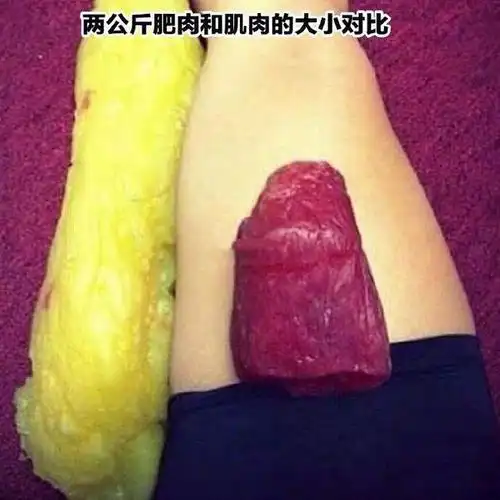 胖子和瘦子的区别到底有多大看到身上这几斤肉你不想减肥都难