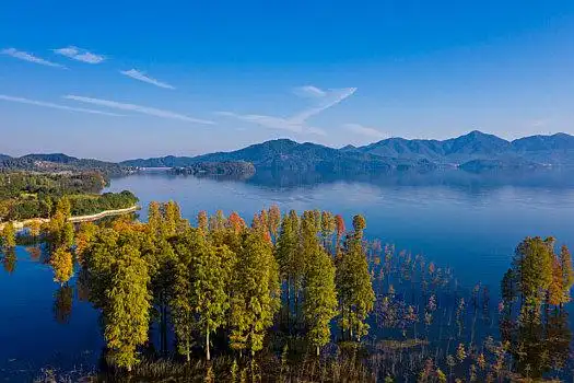 浙江省宁波市余姚四明湖航拍秋色晨曦