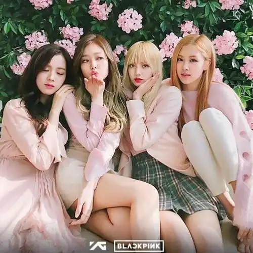 blackpink组合不只是在韩国人气很高,在其他国家也是非