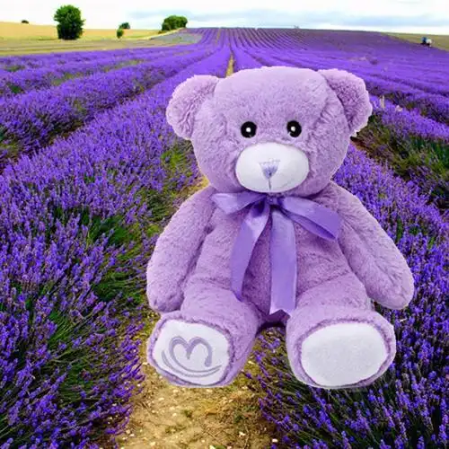 薰衣草小熊 可微波加热 一件代发***爱毛绒玩具现货 批发直销公仔
