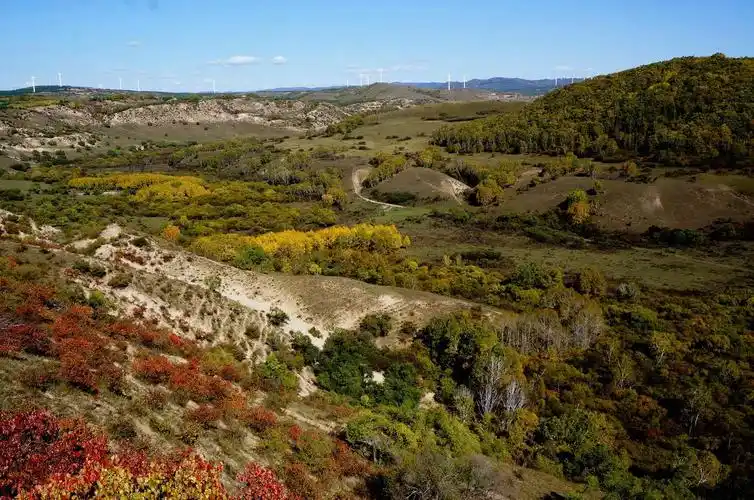 木兰围场(3)塞罕坝