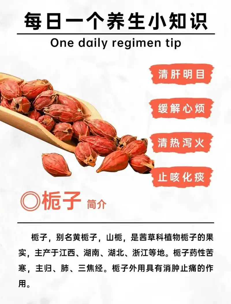 栀源堂小李为你推荐90 #一手好货源#中药打工人 #栀子 - 抖音