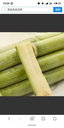 青皮甘蔗 4 - 5cm 2 - 2.5m