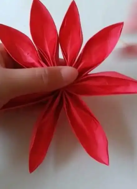 折朵漂亮的大红花