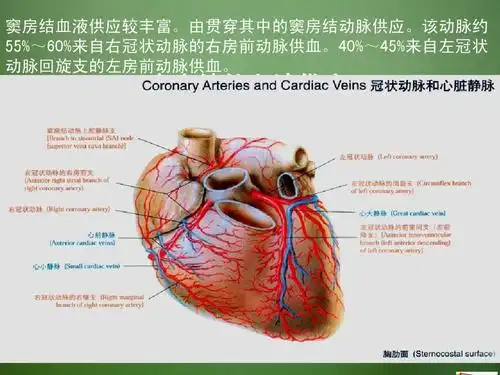 病态窦房结综合征ppt