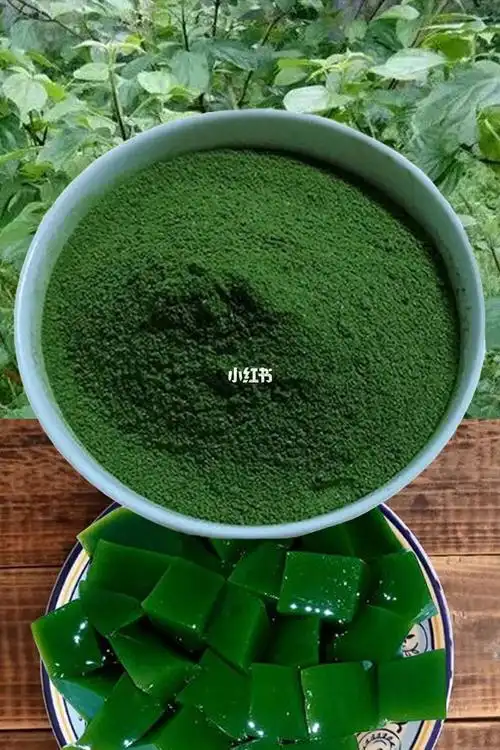 新鲜神仙叶制作神仙叶凉粉来一口清爽一夏