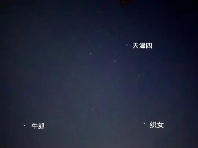 失眠夜拍的星星