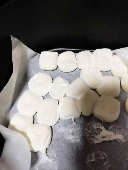 烤棉花糖空气炸锅烤箱