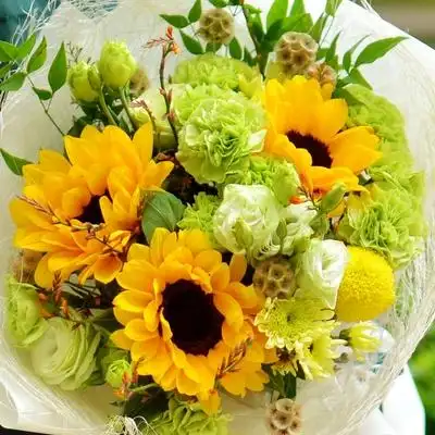 3朵向日葵小清新花束长沙鲜花同城速递鲜花节日生日祝福花店送花