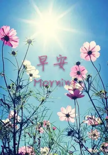 早上好的问候美句适合发朋友圈 早安正能量句子