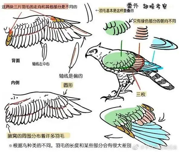 我的首页 微博-随时随地发现新鲜事