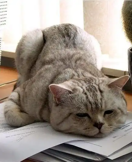 福根儿的相册-【看相册描述】我又被震惊