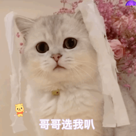 "沙雕表情包"宇宙无敌超级可爱表情包请收好!