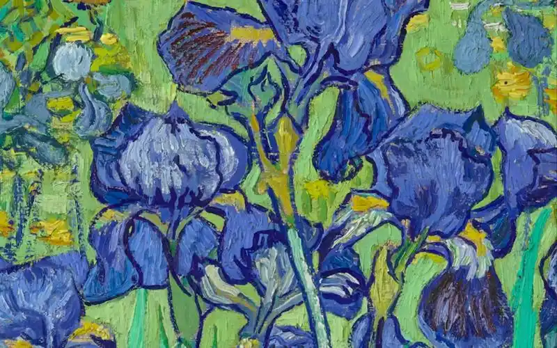 【3分钟静谧 放大看名画】文森特梵高《鸢尾花》