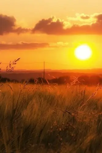 iphone 壁纸 橙色的天空,草地,日落