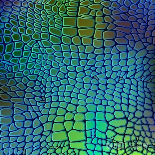 皮革动物蛇纹理