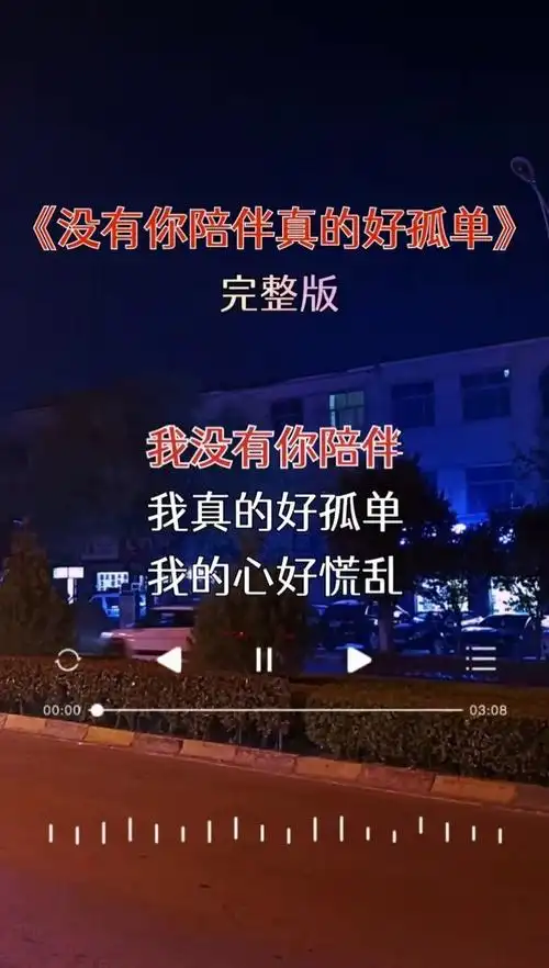 没有你陪伴真的好孤单 #音乐推荐