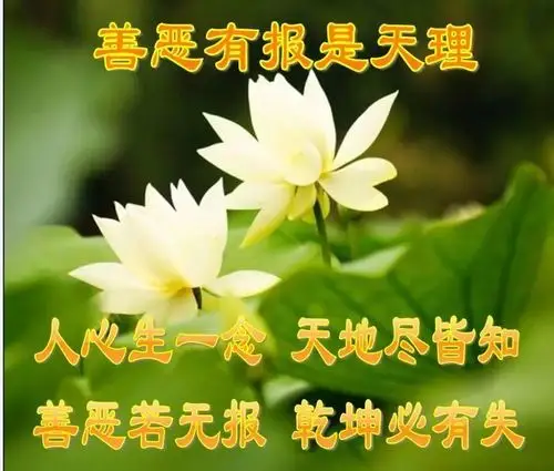 (有图有真相)看现代真实的因果报应!