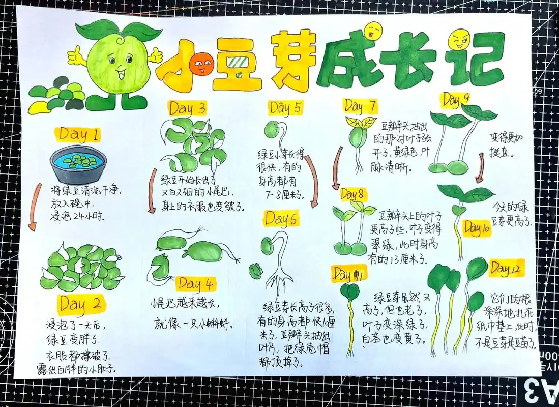 小豆芽成长记手抄报.#创作灵感 豆芽生长记录手抄报绘画简单又 - 抖音
