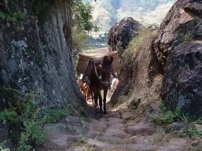 盐马古道情深路长