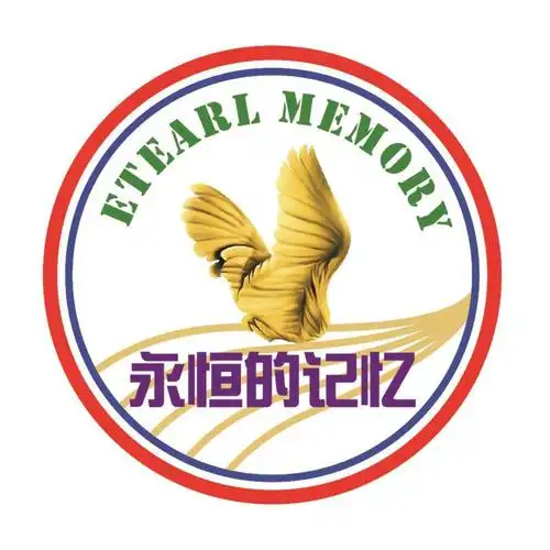 永恒的记忆 etearl memory