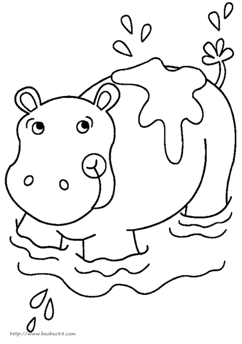 河马简笔画可爱卡通河马简笔画河马怎么画简笔画图片大河马简笔画小