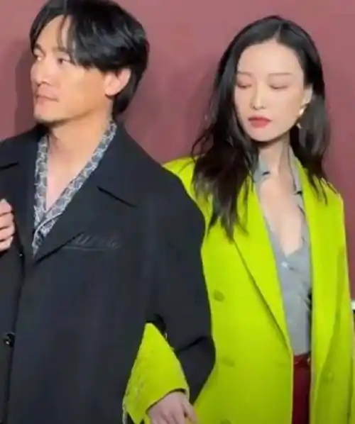 3月11日倪妮张震一同冲上热搜