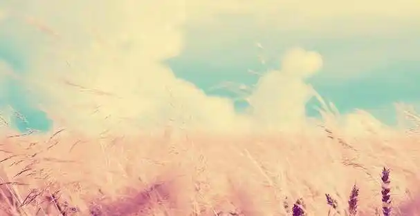 2021,做到这几件事,你会越来越幸福