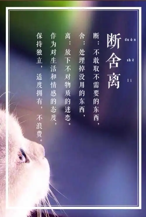 人生就是一场断舍离,——学会"断舍离"给心灵"减减肥"