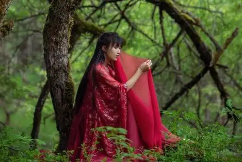 文化输出第一人,白岩松为她微笑鼓掌,李子柒究竟有什么魅力?