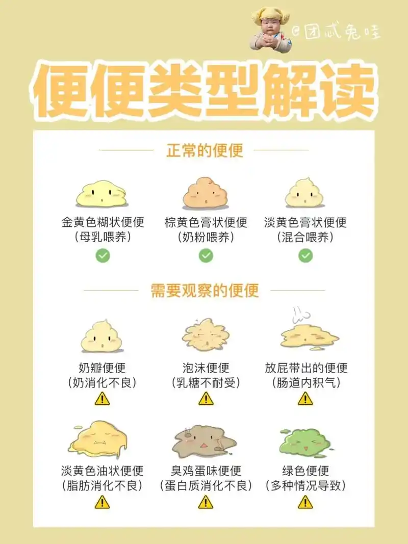便便类型解读(正常or不正常)在宝宝会表达自己之前,你可能不 - 抖音