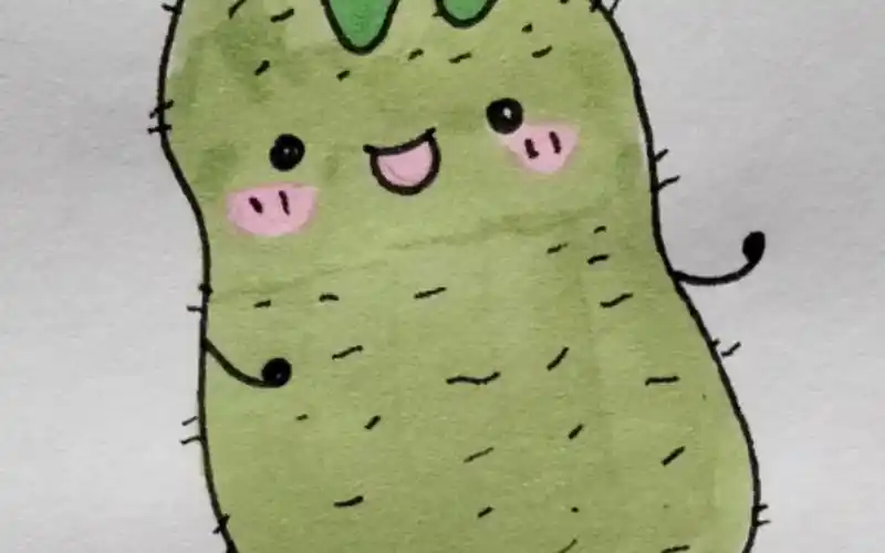 简单好看的冬瓜简笔画