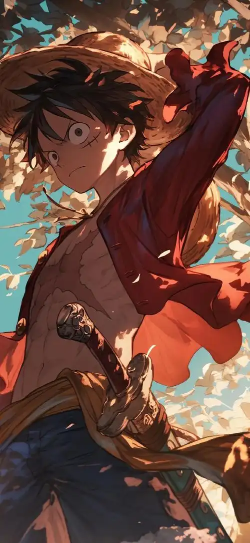 壁纸超话  海贼王 路飞