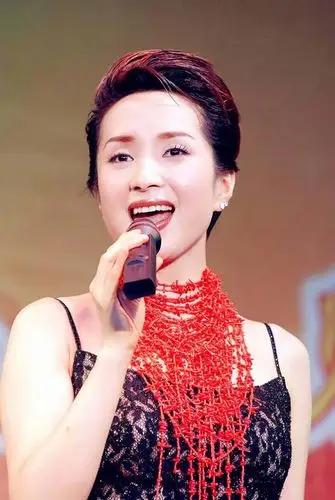 写给歌手汤灿(诗歌)赵月明