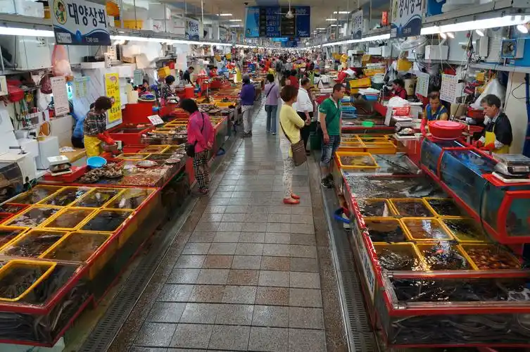 位于港口的札嘎其市场也是韩国最大的水产市场,外观宛如海鸥展翅的高