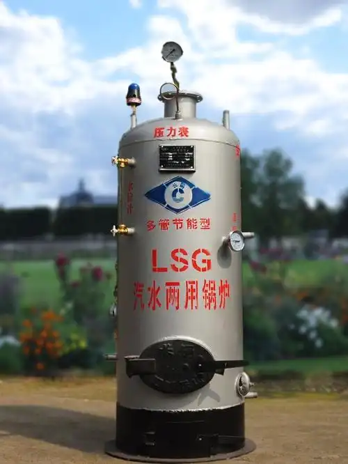 生物质蒸汽发生器蒸汽长锅锅炉商用家用燃煤烧柴养殖小型锅炉新款