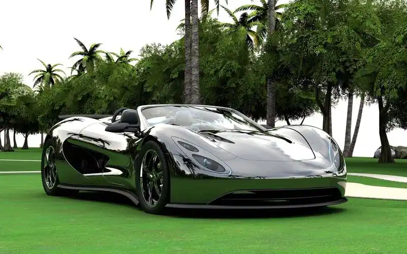 生态异国情调的蝎子黑色壁纸,高清图片,壁纸,其他-桌面城市