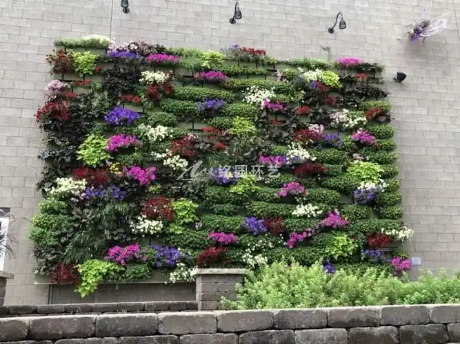 8月7日植物墙效果图,室内外公共区域垂直绿化景观 - 成都天海铭园