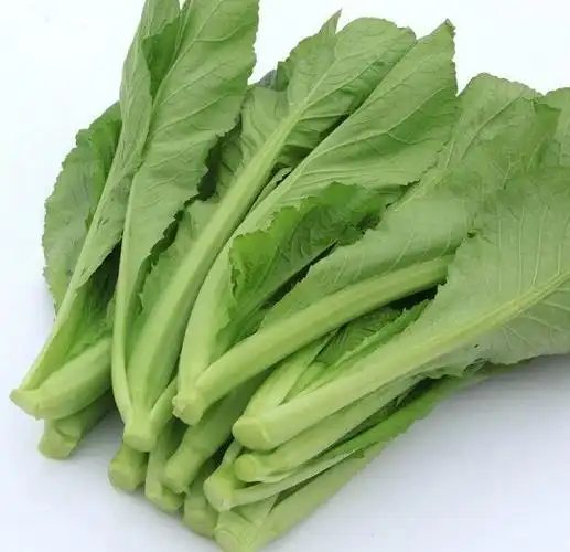 芥菜解读名目又抗毒