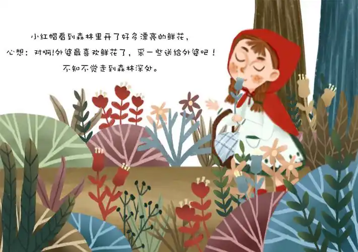 小红帽绘本—儿童插画