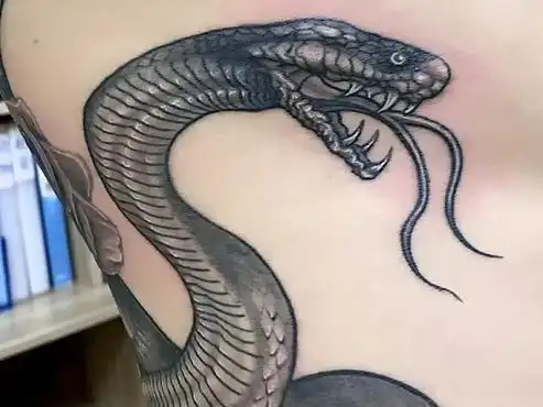 暗黑蛇纹身#侧腰纹身#苏州吴江纹身#吴江酷客纹身