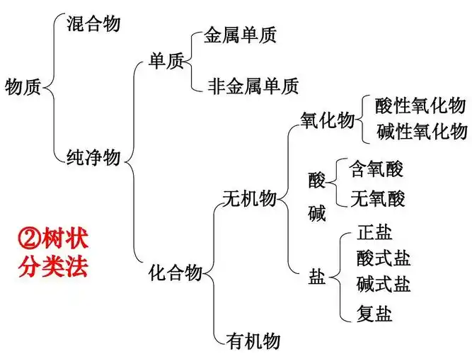 分散系及其分类 高一化学必修二第一章课件 化学物质的量 物质分