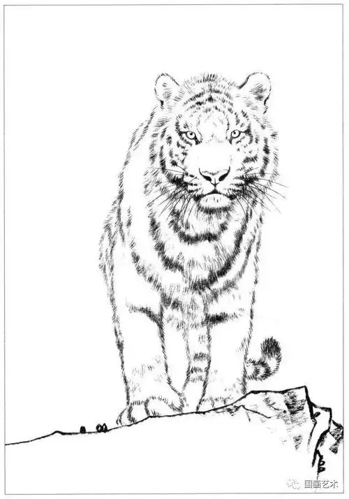 国画线描之百虎画谱选页欣赏