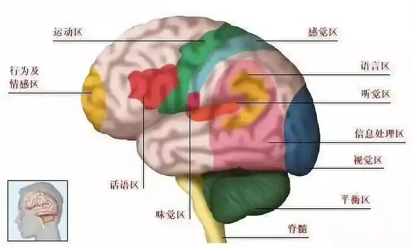 为什么有的孩子学不会跳绳?_运动