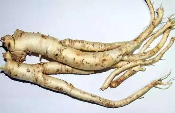 商陆根提高免疫力利尿排毒