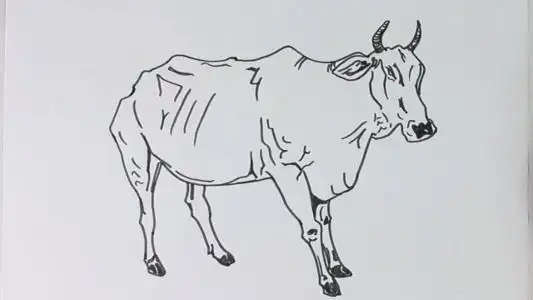 牛简笔画简单
